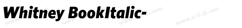 Whitney BookItalic字体转换